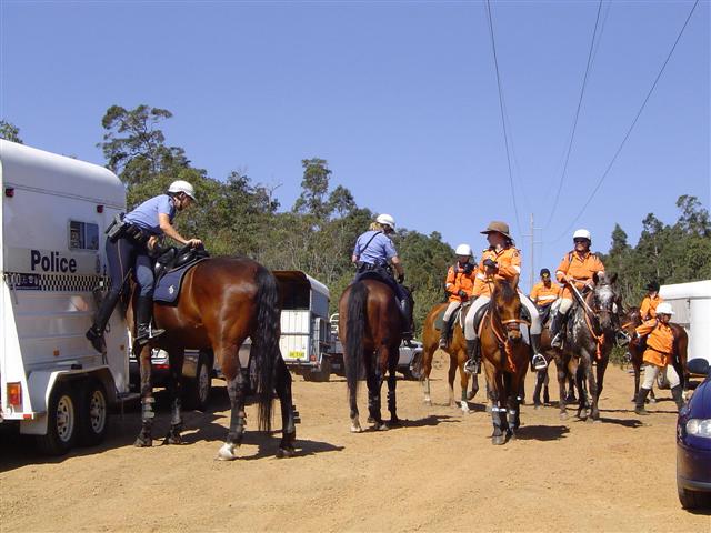 SES Mounted Section